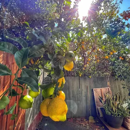 Hidden Haven Minutes From The Beach!